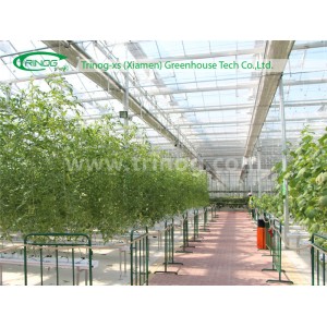European Style Glass Commercial Greenhouse