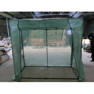 Tomato Greenhouse (PE cover, HTGH-010)