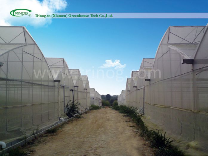 Agricultural Greenhouse for Crops