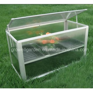 Cold Frame Greenhouse for Young Plants (C211)