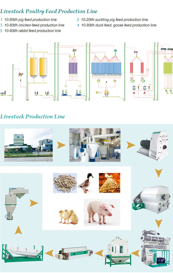 Multi-Functional Automatic Small Poultry Feed Mill