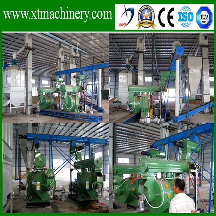 Wet Finished Output, Animal Raising Poultry Feed Pellet Extruder