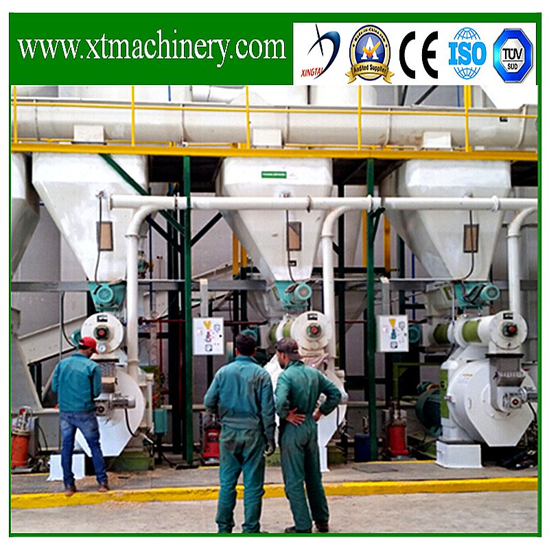 Poultry Feed, Bean, Palm, Forage Pellet Press Production Line ISO/Ce