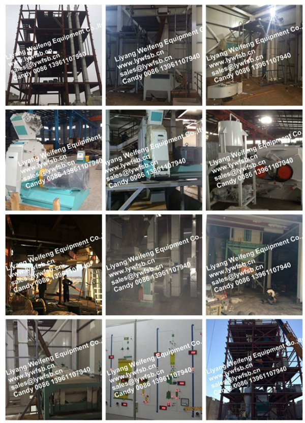 Ce Animal Feed Pellet Mill with Capacity 1-15t/H