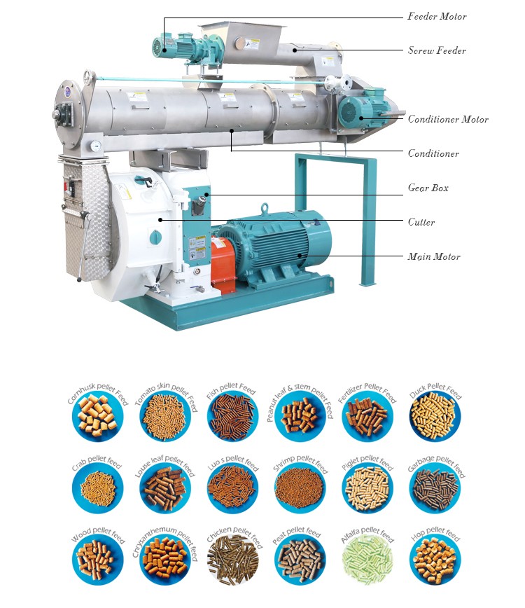 Manufacturer of Feed Equipment / Feed Pellet Press Machine