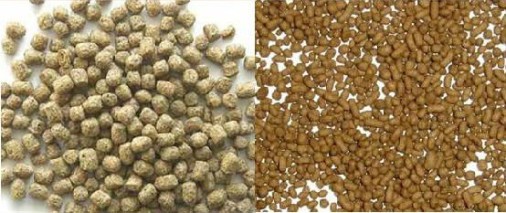 High Quality Floating Fish Feed Making Machine