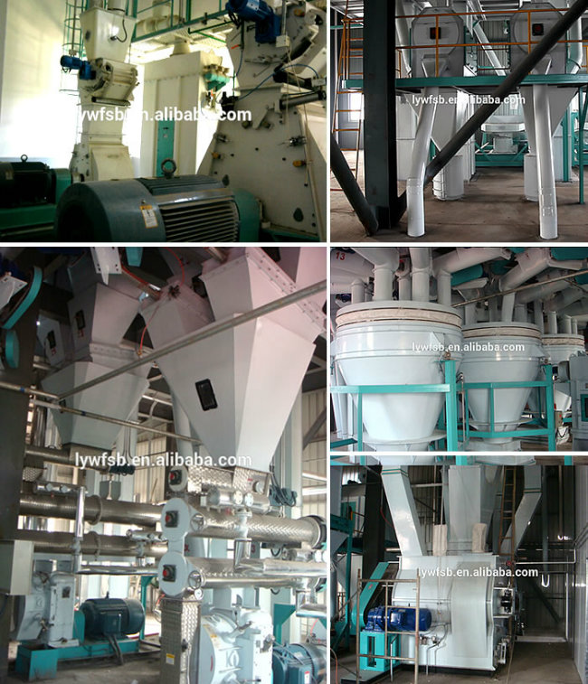Chicken/Cattle/Pig Feed Plant Chinese Supplier