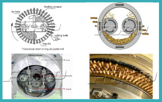 Hot Sale Livestock Jacket Pellet Feed Machine