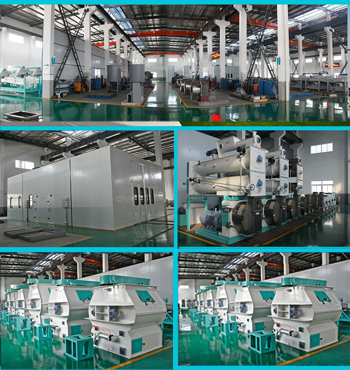 Professional Manufacture Aquatic Fish Feed Pellet Machine