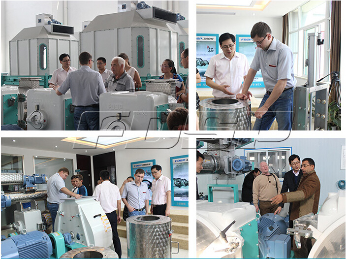 High Rank Fish Feed Pellet Machine with Ce Certification