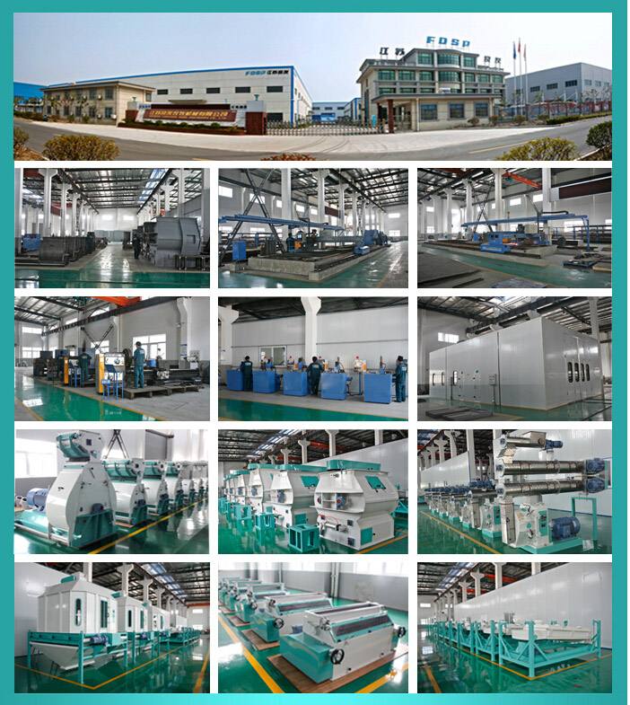 High Rank Fish Feed Pellet Machine with Ce Certification