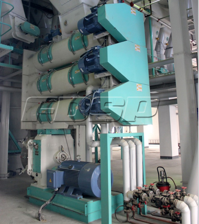 Professional Design Feed Production Line