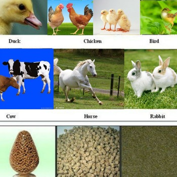 Chicken Feed Pellet Production Line/Farm Machinery