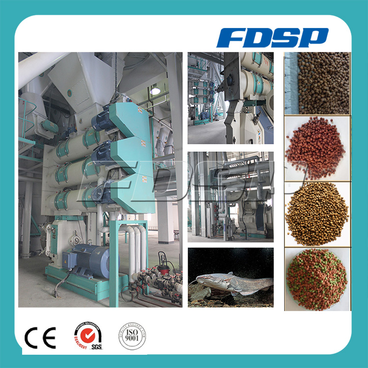 CE Certification Shrimp Pellet Feed Machinery