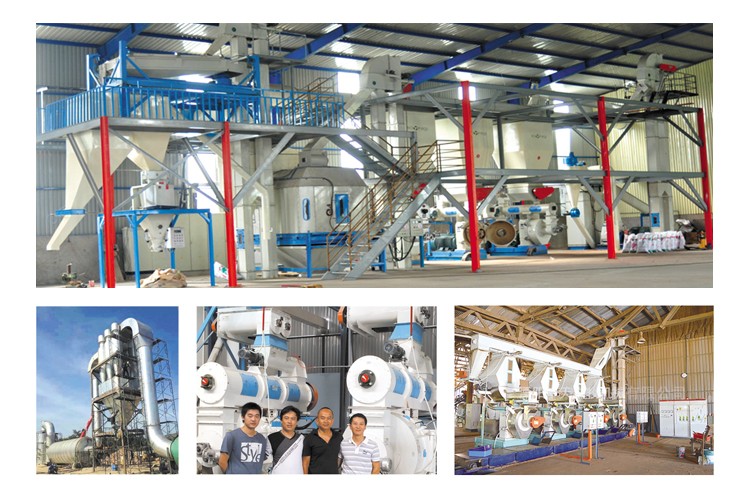 Durable Ce Certificated Straw Pelletizing Machine