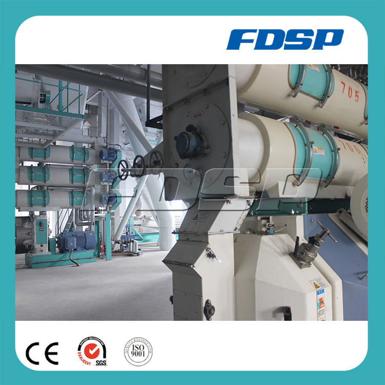 CE Certification Shrimp Pellet Feed Machinery