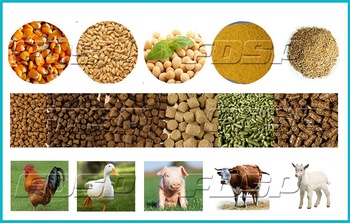 Whole Set Complete Animal Feed Processing Plant