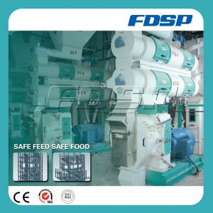 Professional Design Feed Production Line