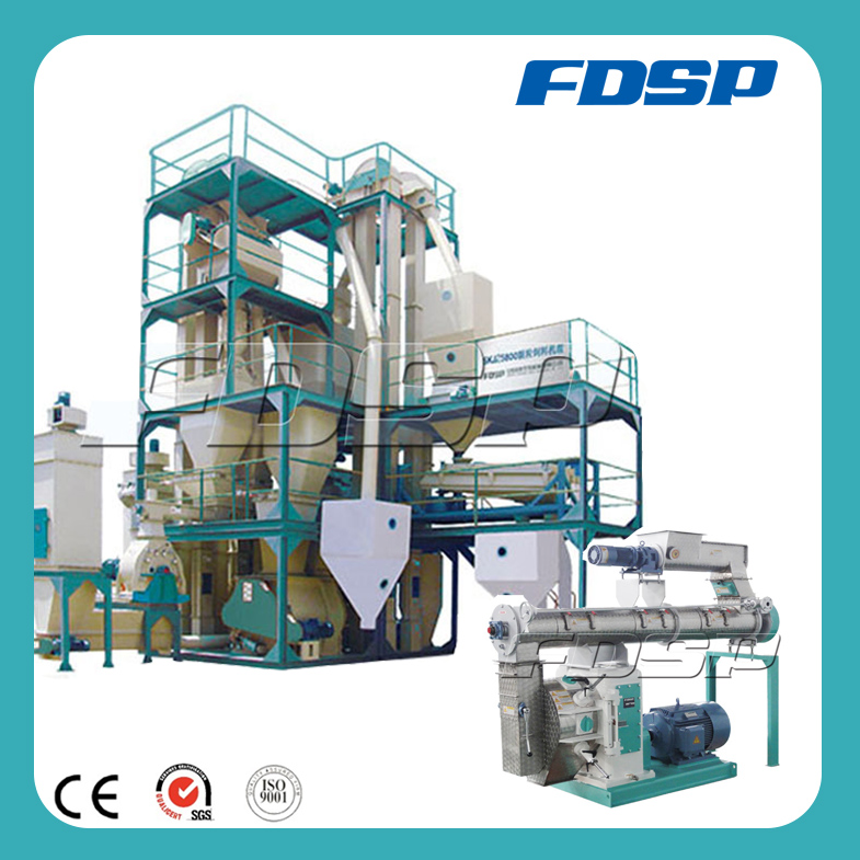 Professional Design Feed Production Line