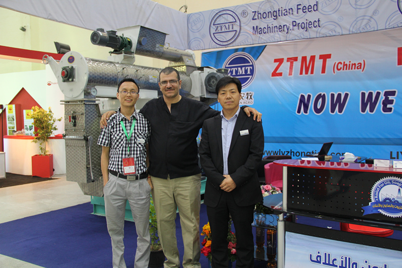 Factory Price Good Wood Pellet Mill Biomass Fuel Wood Pellet Machine