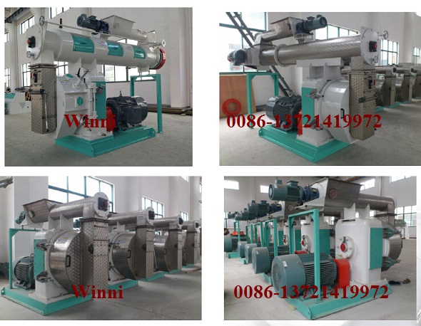 Azeus Sinking Fish Feed Pellet Making Machine