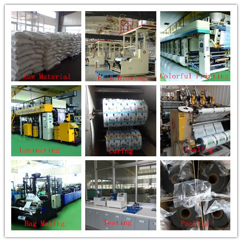 Food Packaging Disposable Plastic PE Packing Bag