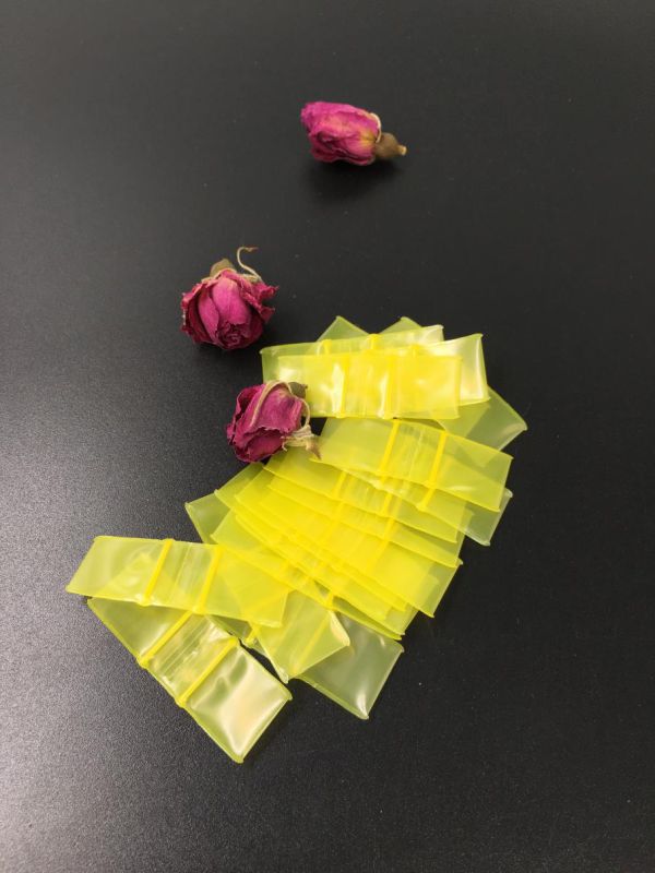 Ht-0567 Apple Mini Ziplock Top Quality Bag