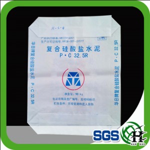 Valve Opening BOPP Printing Woven Bag for Building Putty