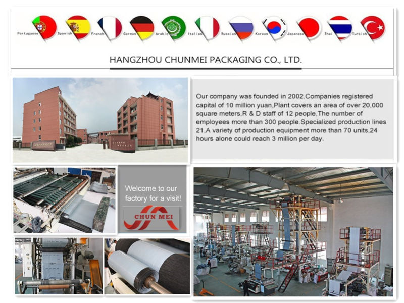 Large Quantities Custom Poly Plastic Bag