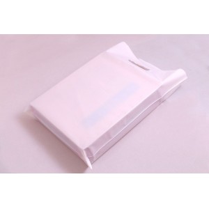 Customized Shipping Waterproof Plastic Hand Bag/Handbag