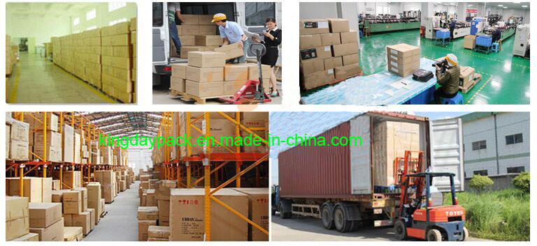 Aluminum Foil Bag for Packing Fruit Juice/Drinking/Beverage/ Food