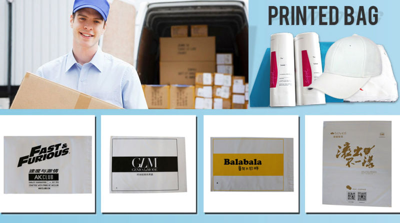 Customized Plastic Packing Bag with Various Logo