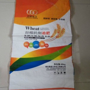 High Quality 40 Kg PP Woven Bag