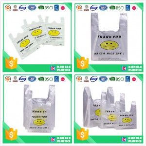 Factory Price Thank You Plastic Bag for Retail