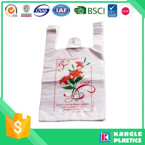 OEM Custom Printed Plastic Bags for Shopping