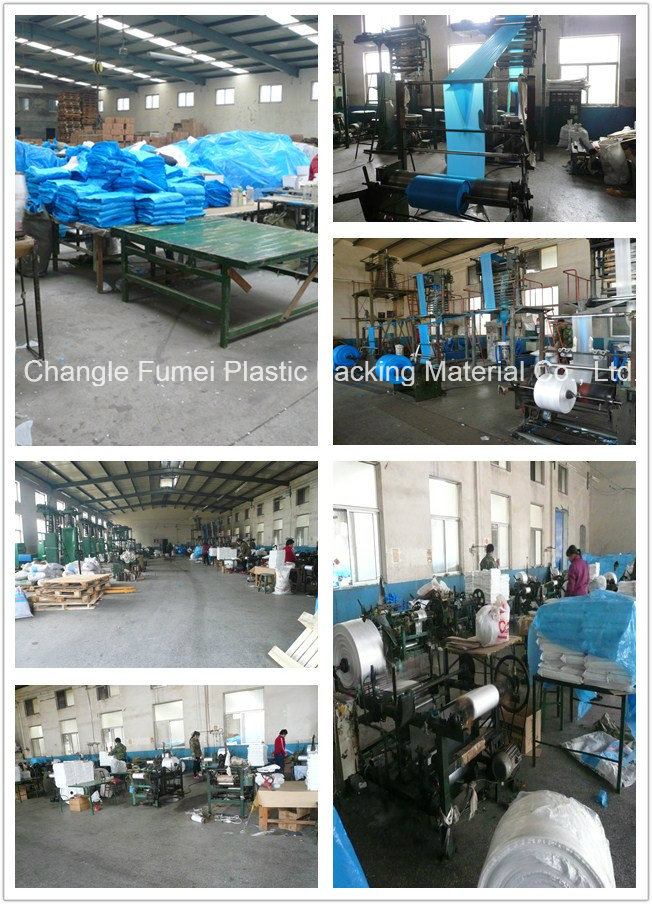 Food Packaging Plastic Ziploc Bag with Custom Printing