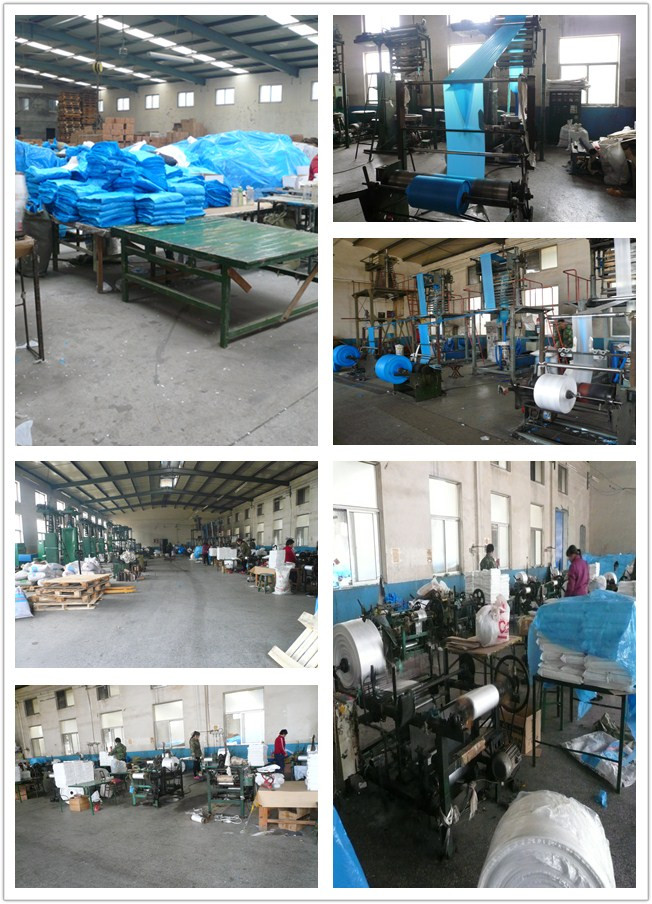 Free Sample Reclosable Clear Plastic Food Bag