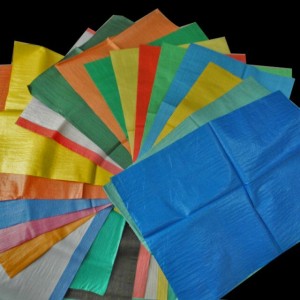 Plastic Woven Bag for Packaging Corn/Wheat