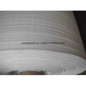 Factory Price PP Woven Fabric Roll