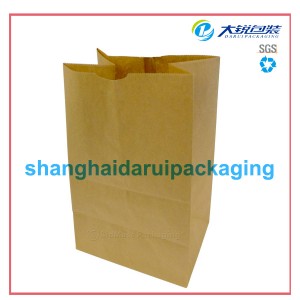 Market Paper Grocery Bag (DR1-KP01)