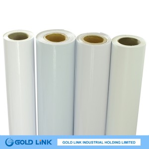 Transparent Pet Film Printing Film (PT6302-T)